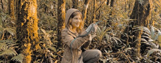 Den Namen tanzen Visualisierung