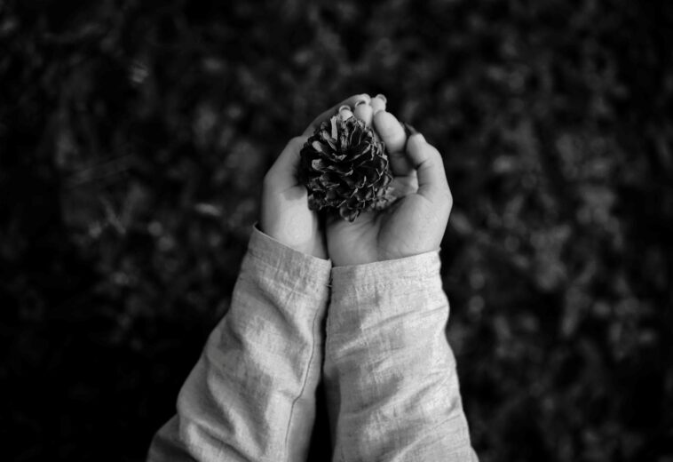 Doomsday Vault: Alles über den Svalbard Saatgut-Tresor auf Spitzbergen