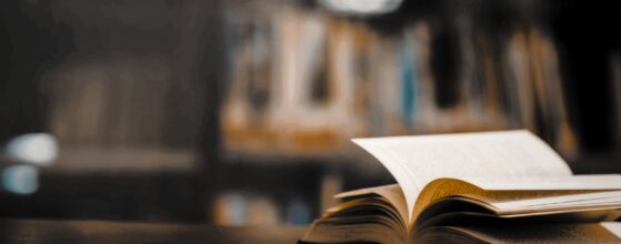 Neue Rechtsformen in Europa Visualisierung